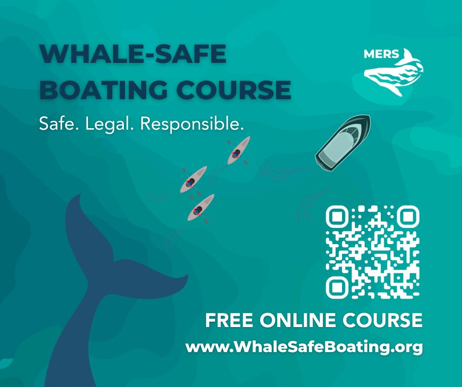 Boater Course Launch Facebook (landscape)