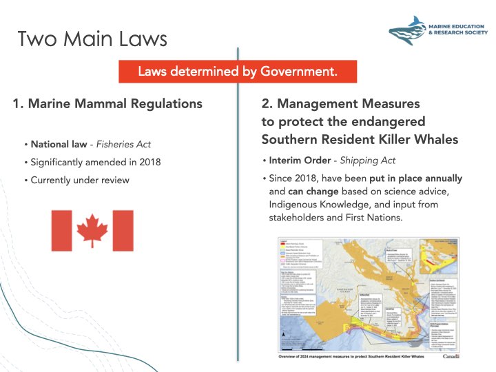 ‎Media Matters 2025 03 28.‎001