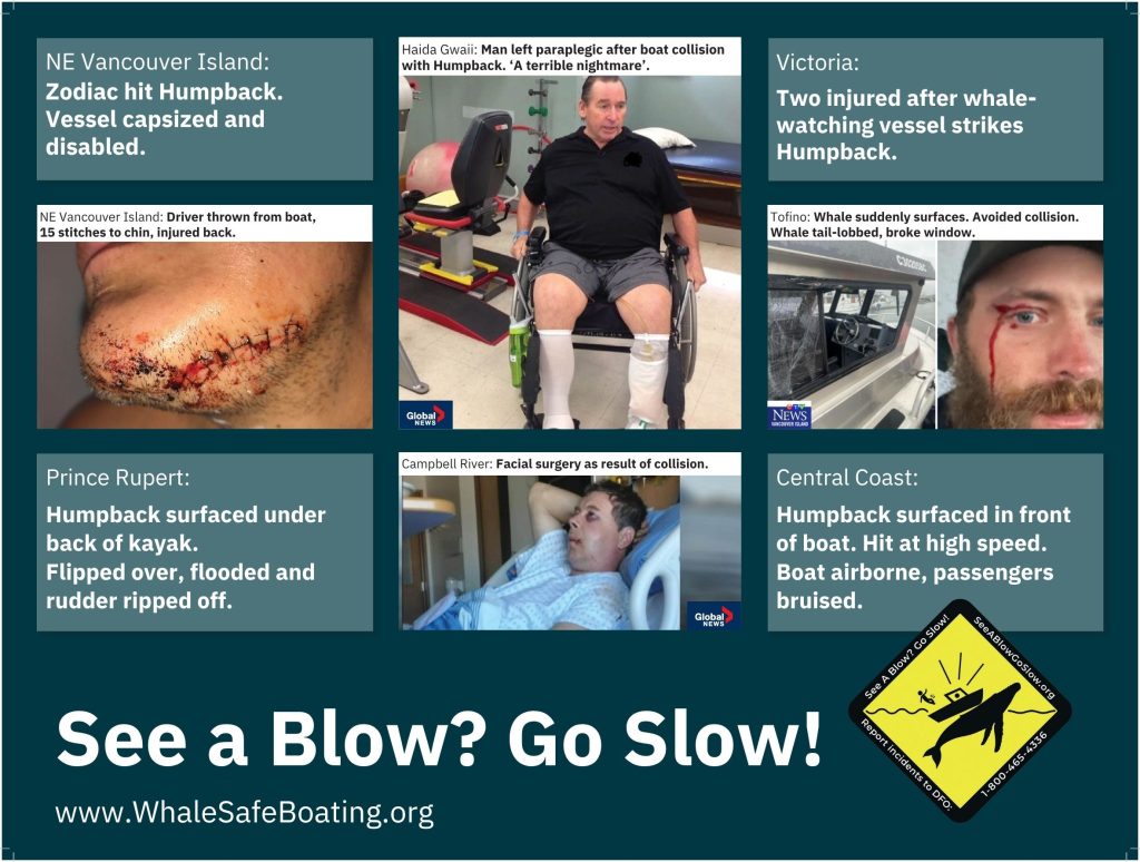 HumanInjury compilation